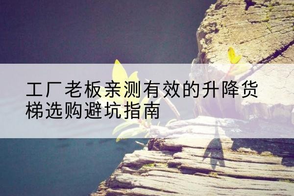 惠济升降货梯怎么选-工厂老板亲测有效的升降货梯选购避坑指南