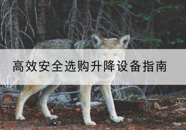 惠济升降货梯厂家推荐-*安全选购升降设备指南