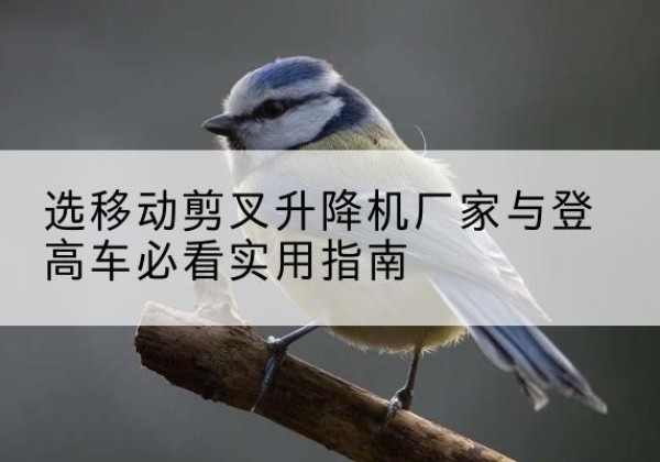 惠济电动升降机厂家-选移动剪叉升降机厂家与登高车必看实用指南