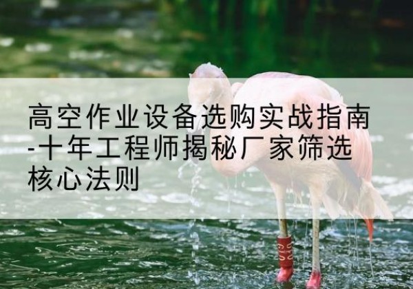 惠济剪叉式升降机厂家-高空作业设备选购实战指南-十年工程师揭秘厂家筛选核心法则